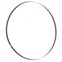 Lama sega a nastro 1575x10x0,36 mm 6 ZpZ Holzmann Maschinen BSB230B10