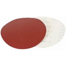 Disco abrasivo ø 254 mm grana 100 per levigatrice Holzmann