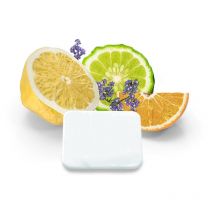 HOME DELUXE - Plaquettes parfumées pour ionisateur LIMA Diffusion d'eau de Cologne
