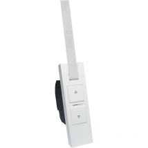 Homepilot - 10302345 RolloTron pure dect Enrouleur de sangle électrique 23 mm Force de traction (max.) 45 kg encastré C545512