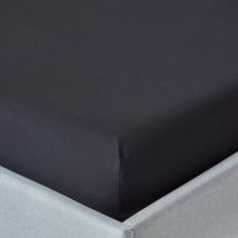 Drap-housse Noir 100% coton Égyptien 200 fils 120 x 190 cm - Homescapes