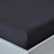 Drap-housse Noir 100% coton Égyptien 200 fils 140 x 190 cm - Homescapes