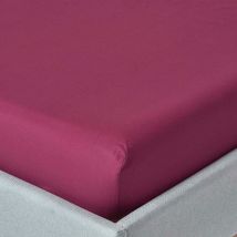 Drap-housse Prune 100% coton Égyptien 200 fils 90 x 190 cm - Homescapes
