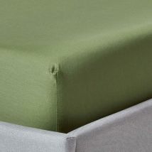 Drap-housse uni 100 % coton égyptien biologique 400 fils Vert mousse 180 x 200 cm - Homescapes
