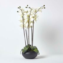 Fleur Artificielle Grand Orchidée Crème en pot Hauteur 79 cm - Homescapes