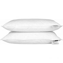 Lot de 2 oreillers en plumes et duvet d'oie, 50 x 75 cm - Homescapes