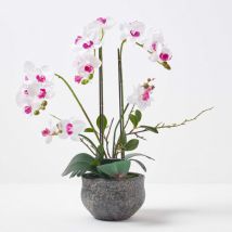 Orchidée artificielle blanche en pot en ciment gris 52 cm - Homescapes