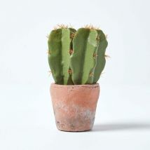 Petit cactus artificiel en pot en terracotta, 17 cm - Homescapes
