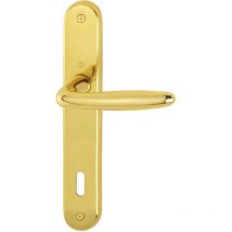 2857622 roissy - Maniglia a piastra lunga, distanza 90 mm, per porte di spessore 35-54 mm, in ottone lucido - Hoppe