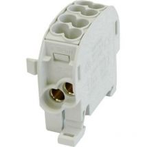 HoraeTec 080110-0-3 Borne de dérivation pour conduite principale pa, laiton gris clair (ral 7035) 1 pôle 100 a 690 v Ty
