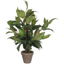 Mica Decorations - Hosta verde pvc con manceta gris