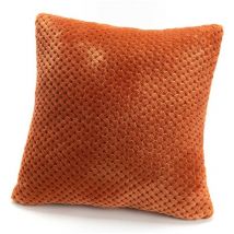 Coussin + Housse Damier Amadeus