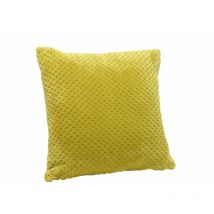 Coussin + Housse Damier Amadeus