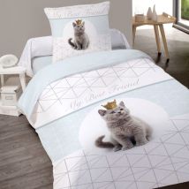 Housse de couette 140x200 King + taie coton 52 fils