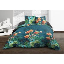 Housse de couette 220x240 + 2 taies - Pur coton 57 fils - Amelia