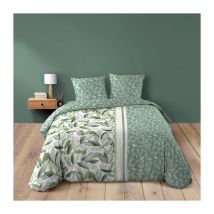 Housse de couette 240 x 220 cm coton 42 fils + 2 taies Eleonore