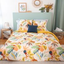 Housse de couette 260x240 Lucia + 2 taies 100% coton adouci 57 fils