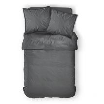Housse de couette coton 57 fils 260x240 Today Canon de fusil