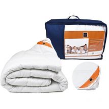 Couette Damast Warm 200x200 cm 1 place et demie