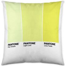 Housse de ombre c housse de coussin c pantone localizationb086jqzyzh réversible 50 x 50 cm