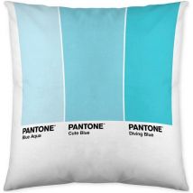 Housse de ombre housse de coussin pantone localization-b086jq1zm7 réversible 50 x 50 cm