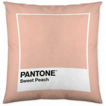 Housse de coussin de sweet peach Pantone 50 x 50 cm