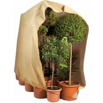Housse d'hivernage large pour plante 200 x 240
