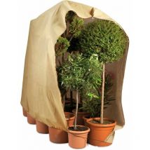 Housse d'hivernage large pour plante 200 x 240