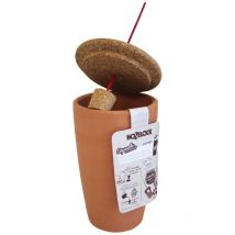 Aquasolo outdoor Expert 5l - Hozelock