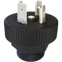 Htp - Bgrn03000-M20 D13557