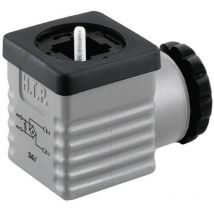 HTP - Connecteur de vanne avec pont redresseur G1GU2RV1 gris Pôle:2 + pe 1 pc(s)