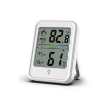 Hygromètre numérique et thermomètre intérieur professionnel - jauge d'humidité - gris