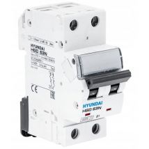 Hyundai - hgd - interruptor de sobrecorriente 2P, 6KA, 40A, char. do