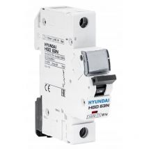 Hyundai - hgd - überstromschalter 1P, 6KA, 6A, char. c