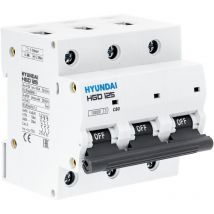 Hyundai - hgd - überstromschalter 3P, 125AF, 10KA, 80A, char. d