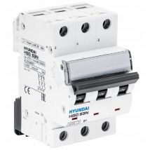 Hyundai - hgd - überstromschalter 3P, 6KA, 4A, char. b