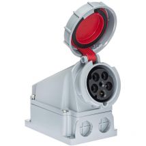 Socle Prise Murale Tétrapolaire 380v - 63a 3p+n+t - étanche Ip67 IDE