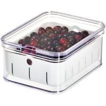 Organizer Cucina con Rastrelliera per Frutta, Box Frigo in Plastica Priva di bpa, Contenitore Verdura e Alimenti, Trasparente, 21.1 cm x 16.1 cm x