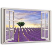 Image sur toile, Fenêtre - champ de lavande - 60x40