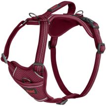 Imbracatura Per Cani Company Of Animals Bordeaux M 35-55 Cm