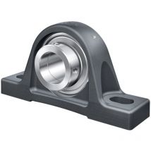 INA Pillow Block Unit - RASEY-15