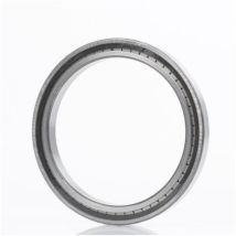 Zylinderrollenlager SL182220 Innen-Ø 100 mm Außen-Ø 180 mm Breite46 mm