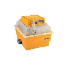 Incubatrice covatutto eco da 24 uova - cm.33x36,5x34h 1 pezzi Novital