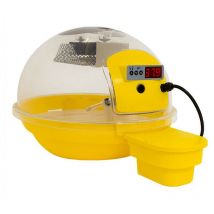 Incubatrice per Uova Fiem Smart Digitale 24 Giallo