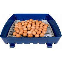 Incubatrice per Uova Semi Automatica Professionale Borotto Real 49