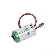 Indexa - 35725 pile domestique batterie rechargeable lithium