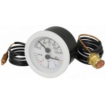 Indicateur de température/pression