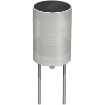 Inductance 68 μH Fastron 09P/F-680K-50 moulé sortie radiale 09P/F Pas 5 mm 0.95 a 1 pc(s) W22663