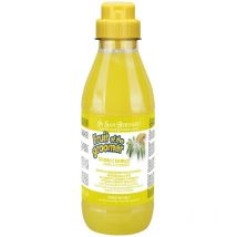 Frucht Des Groomers Ingwer Und Holunder Shampoo 500 Ml Exclusives Angebot