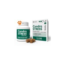 Dog Condrostress Mobility Dog Condrostress Mobility - Confezione Da 30 Chews - Innovet